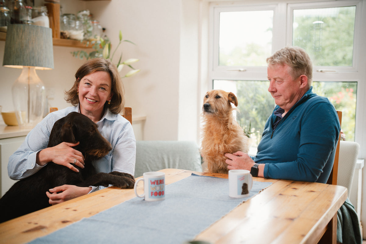 Q&A: Answers to Your Most Common Dog Food Questions – Were Wolf Food