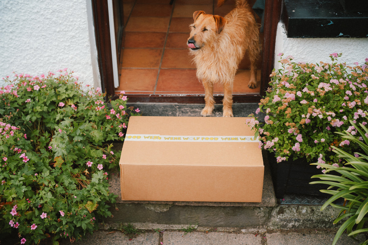 Does Your Dog Love Werewolf Food? Here’s Why You’ll Love Our Flexible ...
