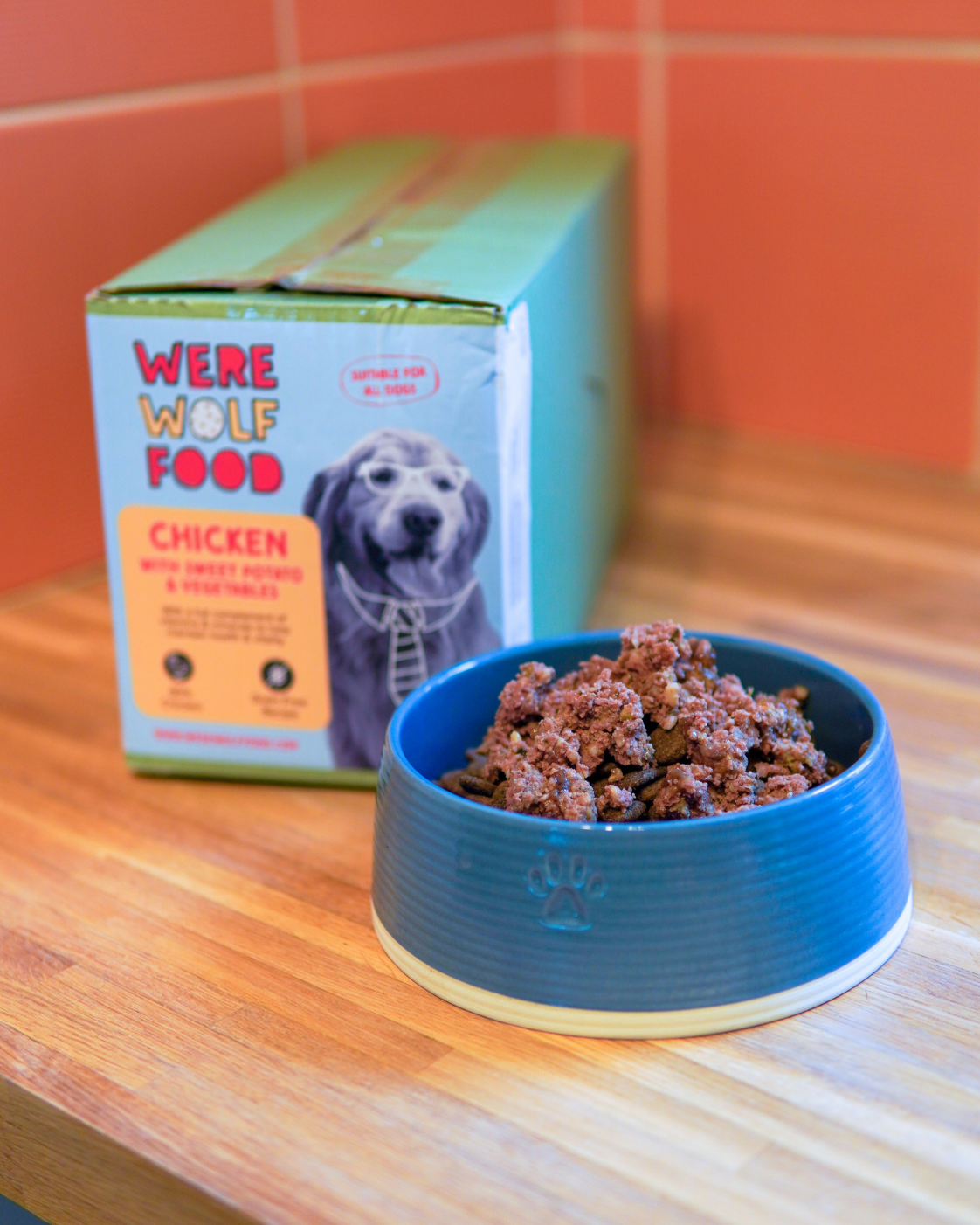 Chicken & Sweet Potato Wet Dog Food | 10 × 395g