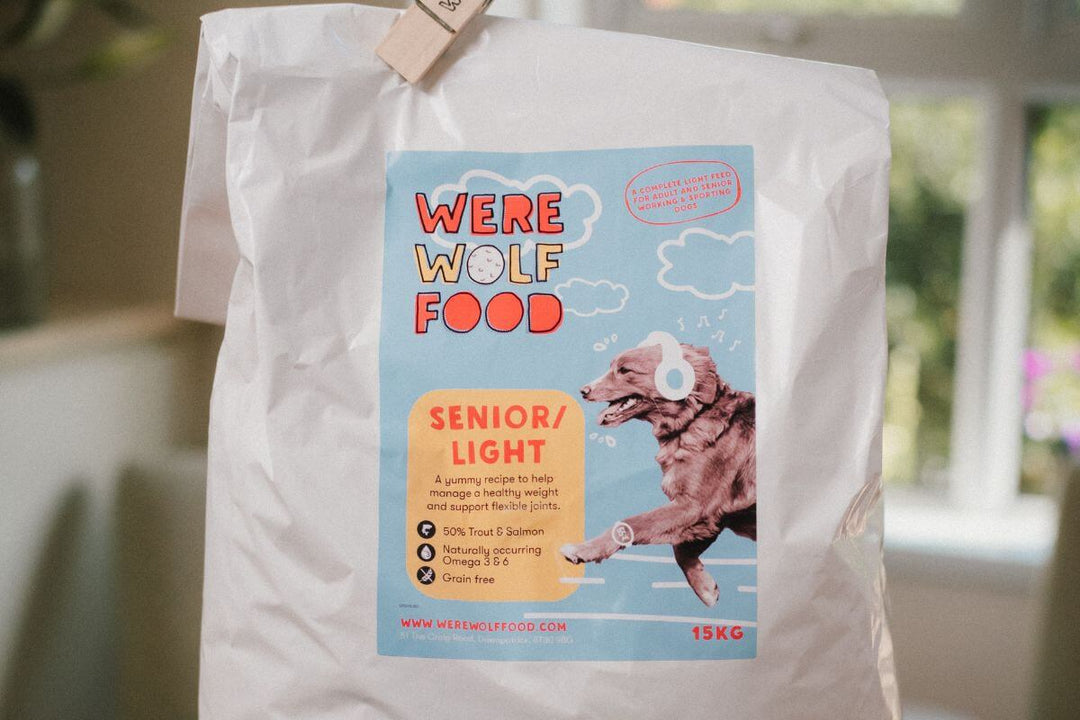 senior dog food