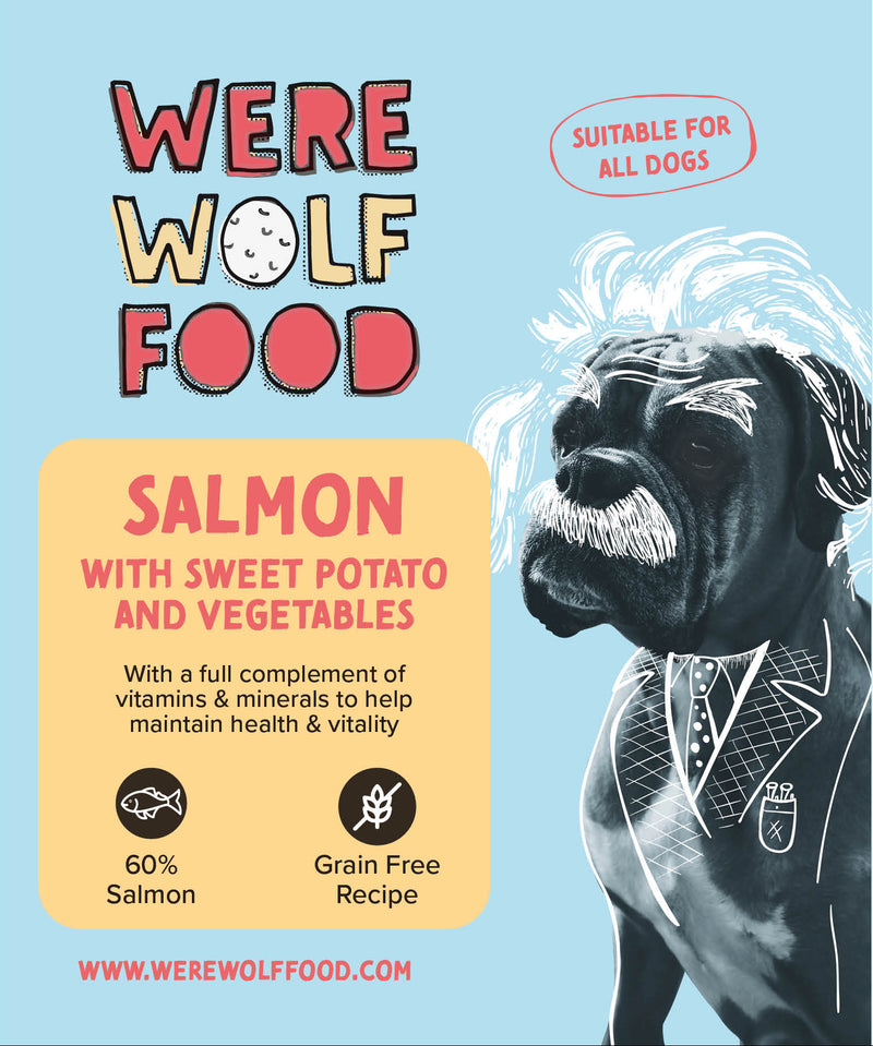 Salmon & Sweet Potato Wet Dog Food | 10 × 395g