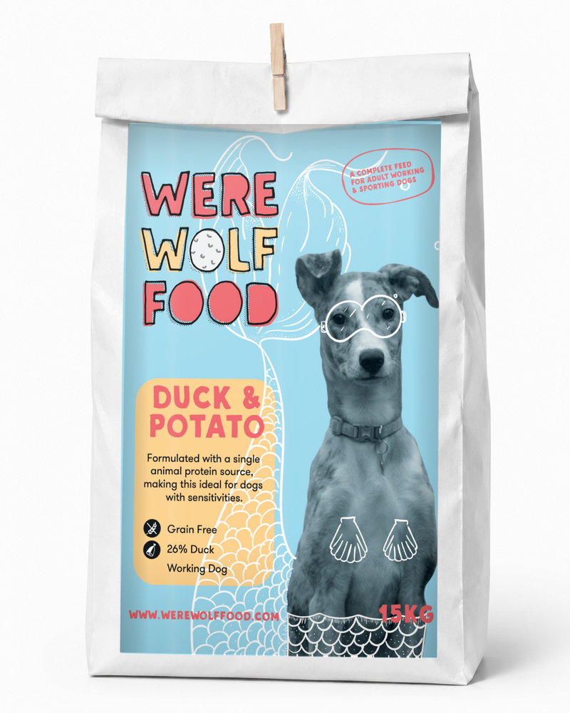 Duck & Potato Adult Dog Food | Grain Free | 15kg