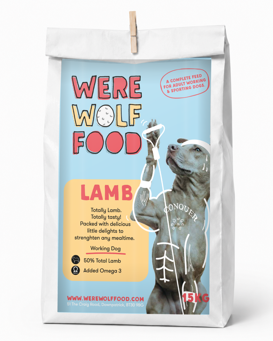 Lamb & venison recipes