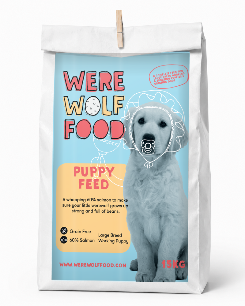 Puppy Dog Food | Salmon | Grain Free | 15kg