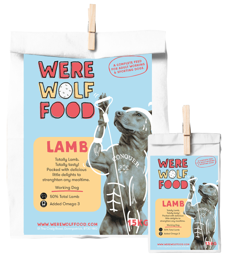 Lamb Adult Dog Food | Grain Free | 15kg