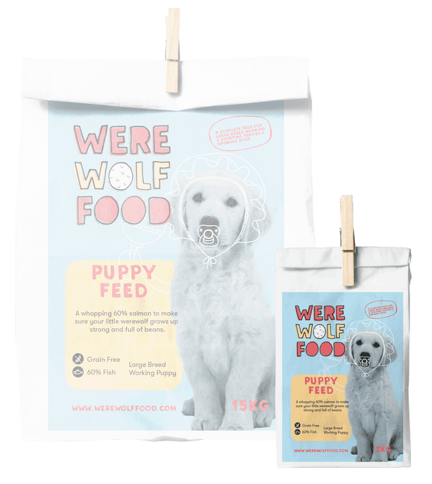 2KG - Salmon [Grain Free] - Puppy - Werewolf Food