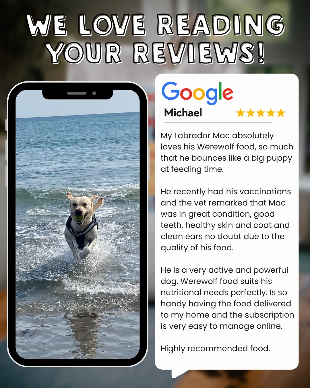 A great Google review gets us giddy - thank you Michael (and Mac)!