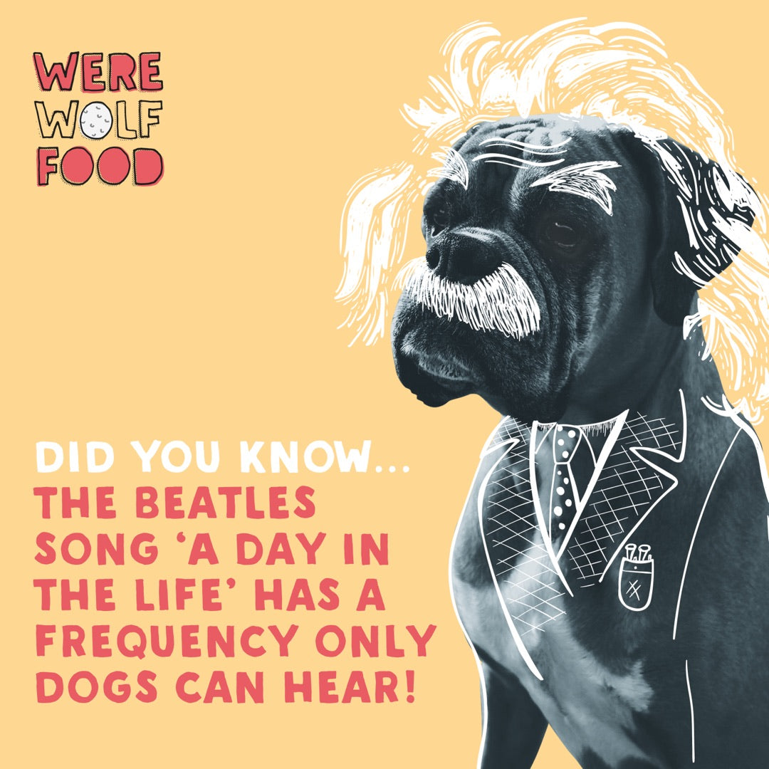 Werewolf Food on Instagram