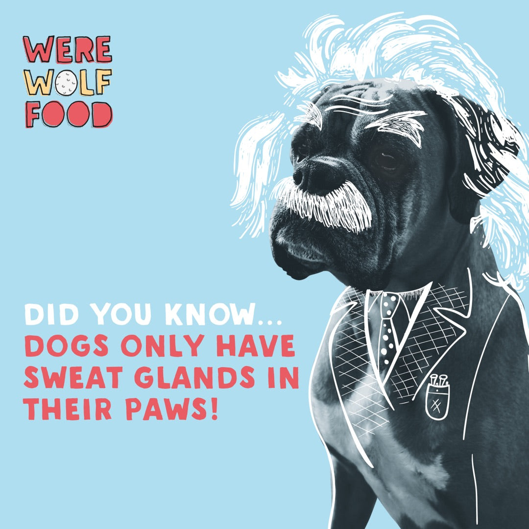 Werewolf Food on Instagram